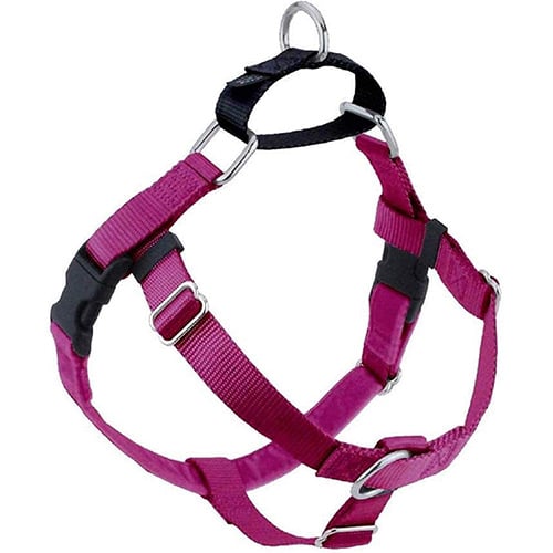 Dog Harnesses Helpful Tools for Loose Leash Walking Preventive Vet